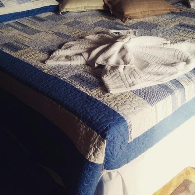 Varzea Palace Hotel Teresópolis エクステリア 写真
