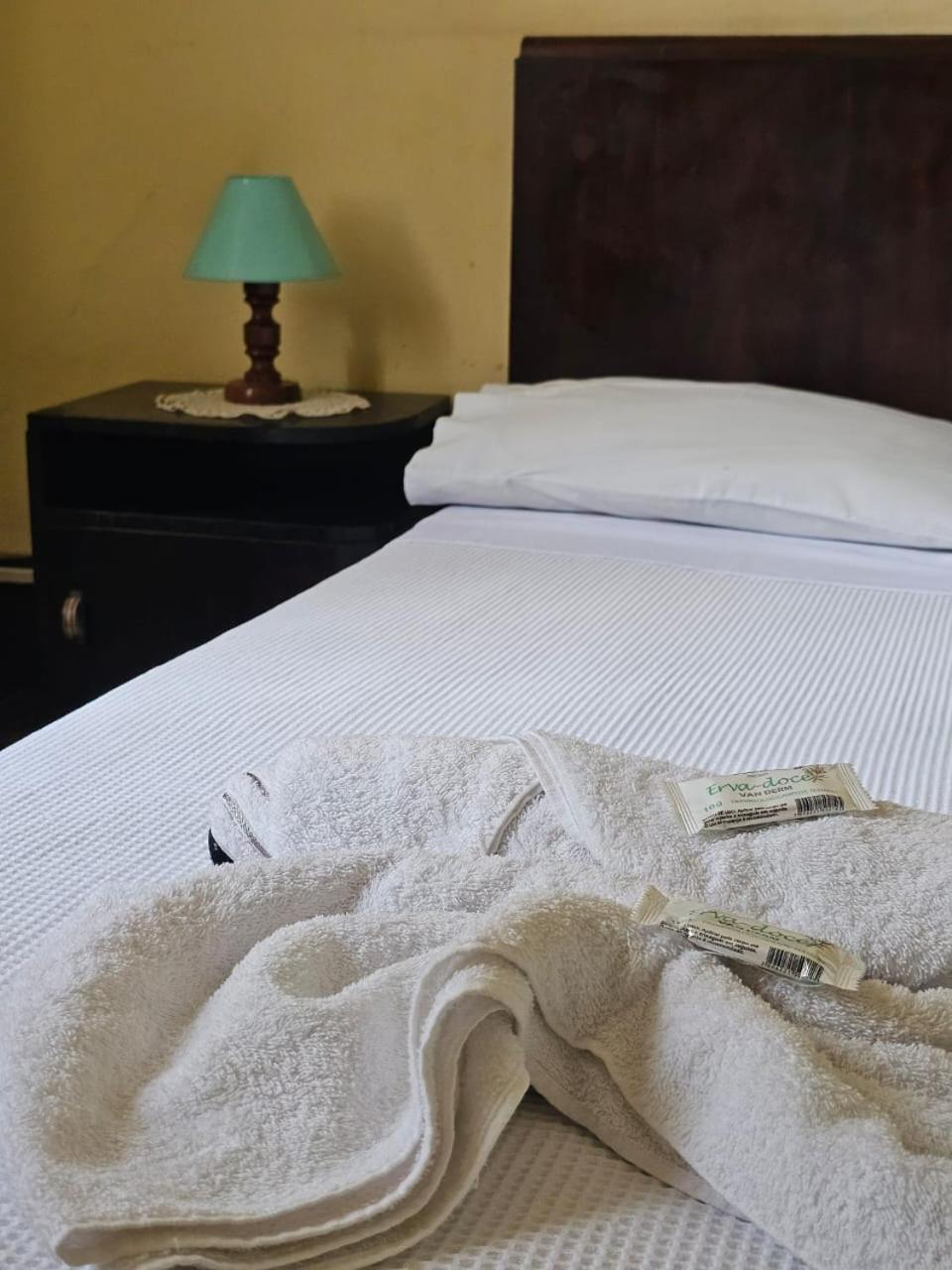 Varzea Palace Hotel Teresópolis エクステリア 写真